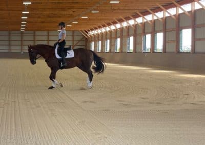 horse and rider on ThorTurf indoor arena with dustless synthetic footing