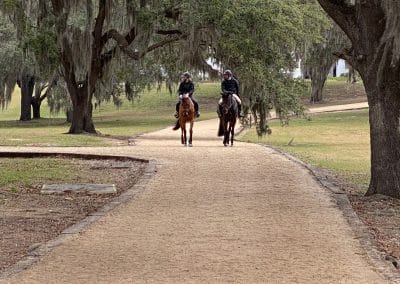 world equestrian center featuring ThorTurf footings on trail