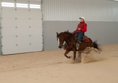 Sliding on ThorTurf arena horse footing